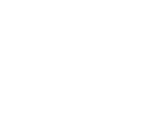 FEBI