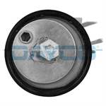 DAYCO 036109243AF