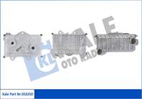 KALE RADYATOR 6051800065