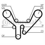 CONTITECH 077109119E