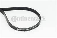 CONTITECH 31258381