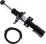 SACHS 30776718