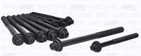 VICTOR REINZ 500347039