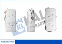 KALE RADYATOR 42107261