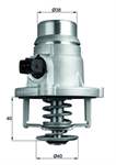 MAHLE 11530304425 11537586885