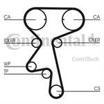 CONTITECH CT873 24451896