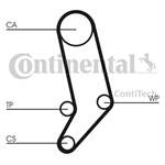 CONTITECH 074109119R