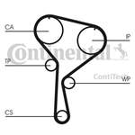 CONTITECH CT1035 8200537995