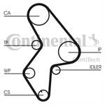 CONTITECH CT1061 71739919