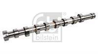 FEBI 0801.FC