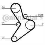 CONTITECH CT1038 99456476