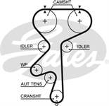GATES 5542 XS 55351782
