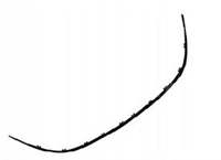 ROOT 1322025
