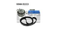 SKF 06A198119