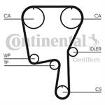 CONTITECH 036109119H