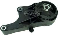 RAPRO 684216