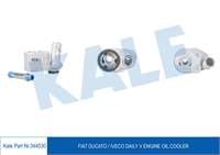 KALE RADYATOR 5801555580